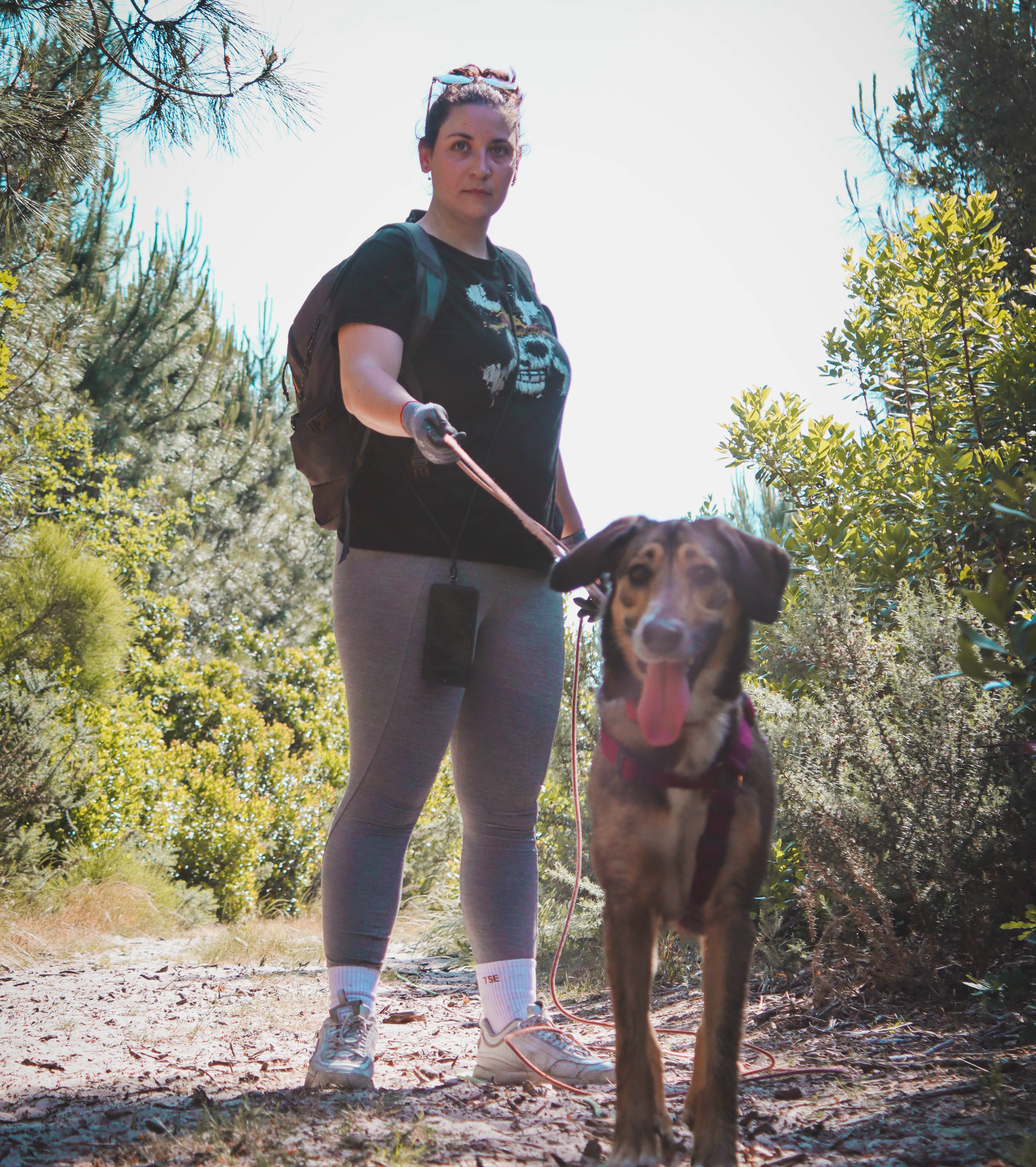 Personne et son chien complices au quotidien