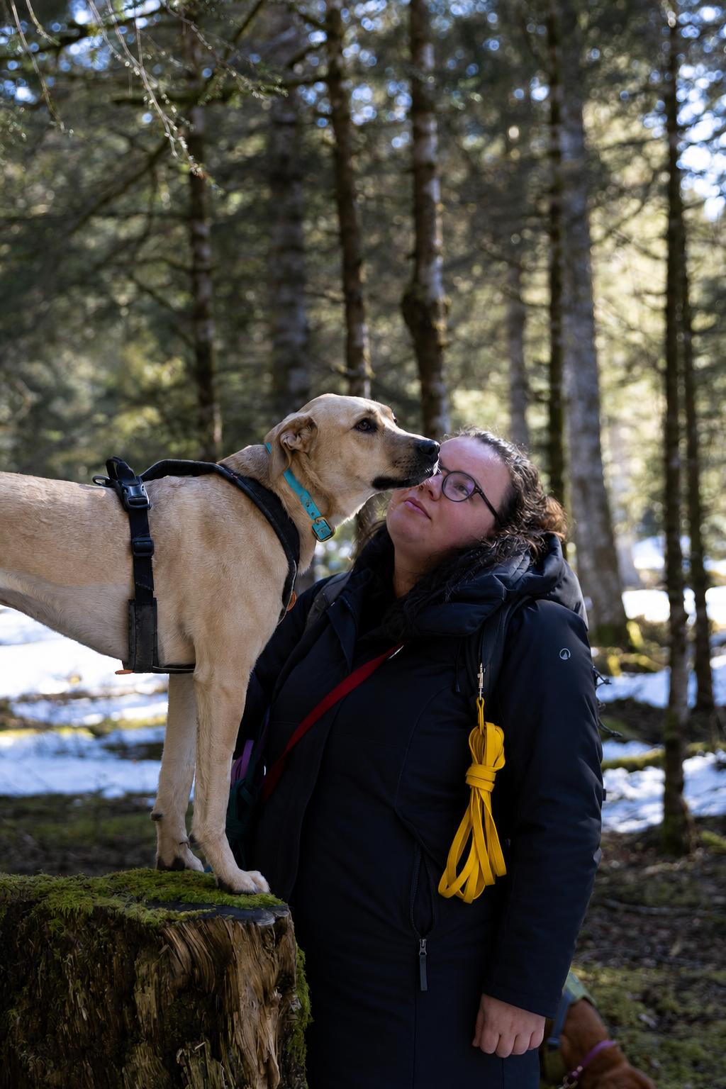 Pauline Beaudoin avec un chien, en forêt