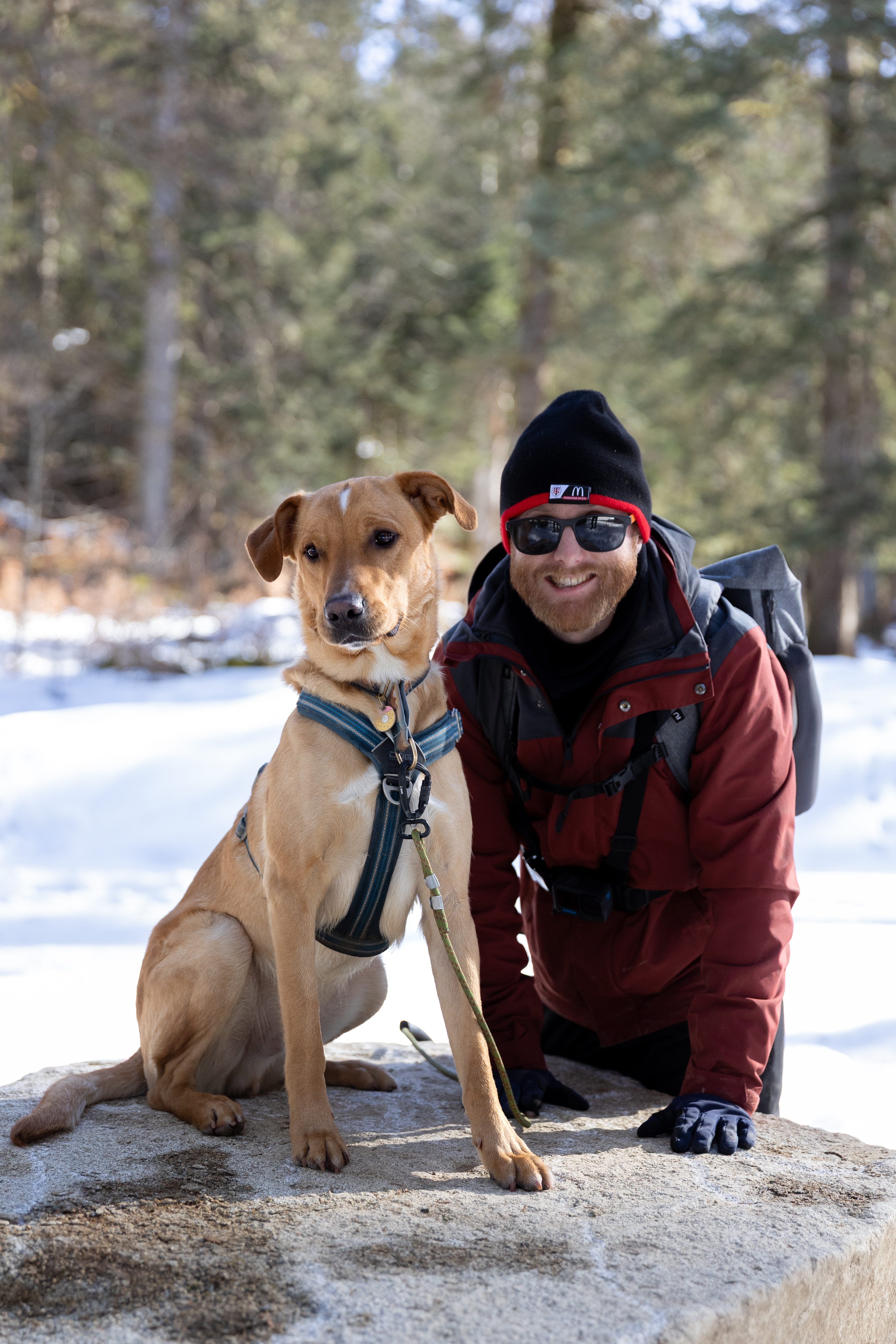 Clément et Vao, chien adopté via Musotopia
